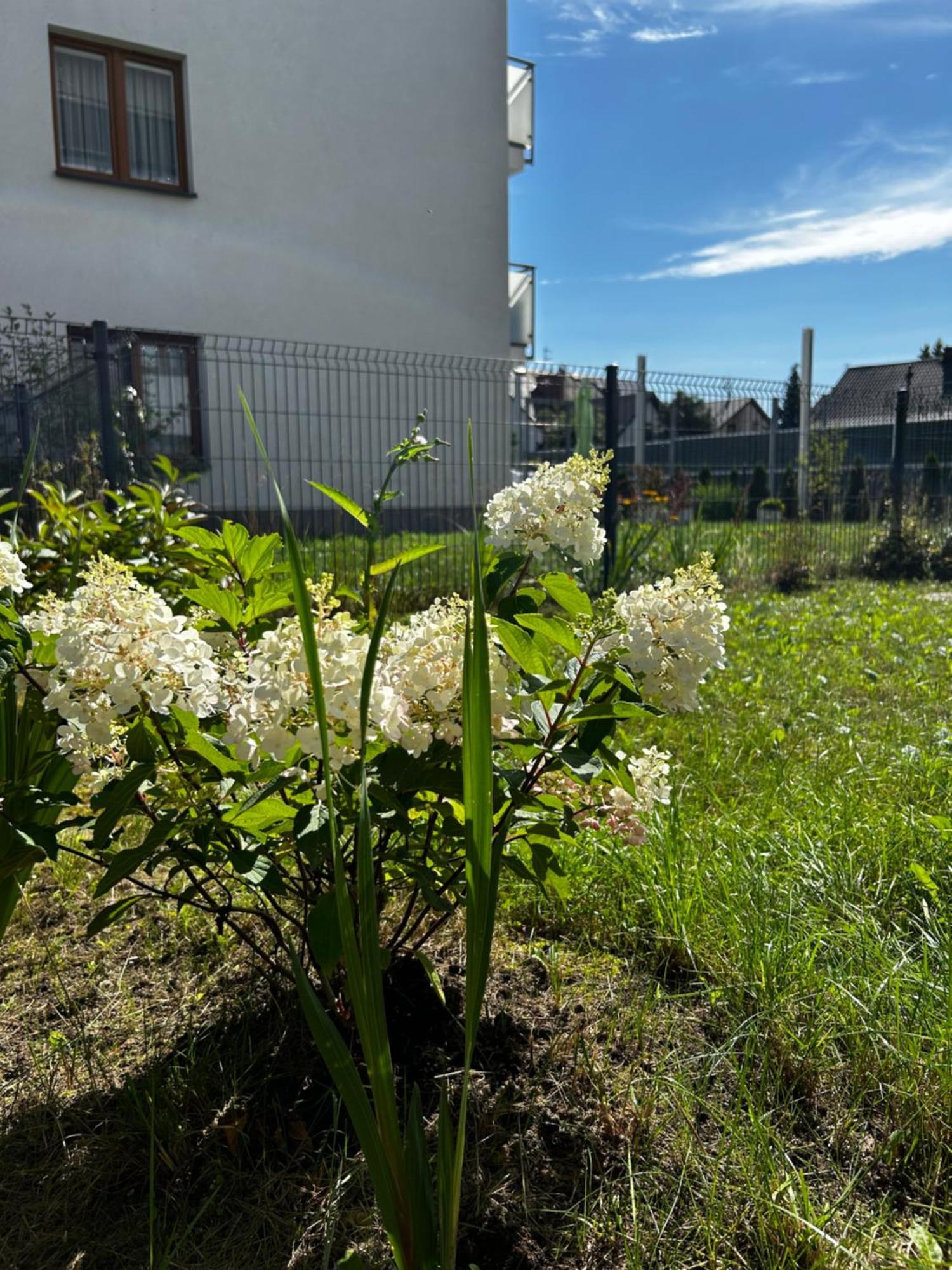 M&m Glogera Apartmán Krakov